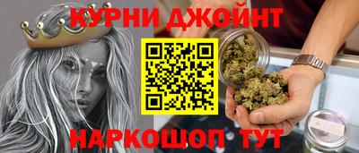 Альфа ПВП Гатчина