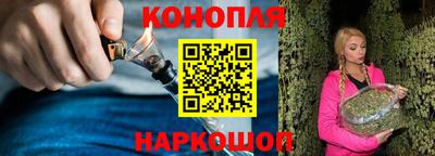 Альфа ПВП Гатчина