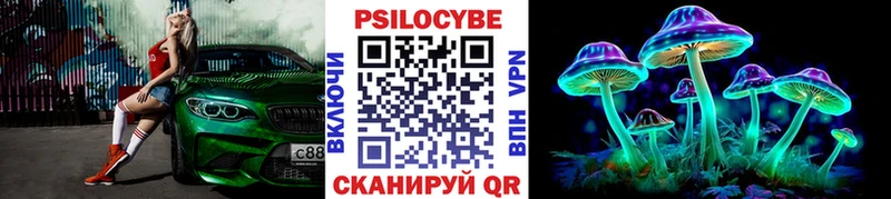 дарк нет как зайти  купить   Старый Оскол  Галлюциногенные грибы GOLDEN TEACHER 